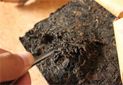 普洱茶怎么保存？茶葉能放冰箱嗎？
