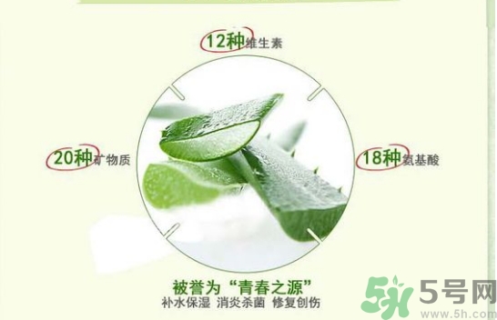 the saem得鮮和自然樂(lè)園哪個(gè)好？得鮮的蘆薈膠和自然樂(lè)園哪個(gè)好？