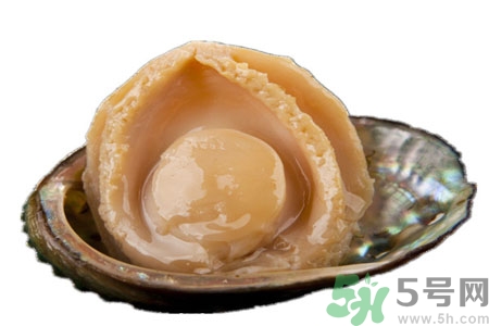 鮑魚如何挑選？鮑魚怎么保存？