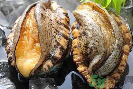 鮑魚的營養(yǎng)價值有哪些？鮑魚的藥用價值是什么？