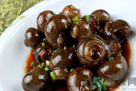 田螺肉怎樣做？田螺的營(yíng)養(yǎng)價(jià)值有哪些？