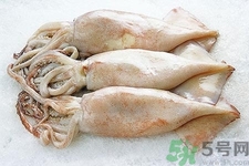 魷魚怎么處理？干魷魚怎么泡發(fā)？