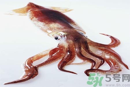 魷魚怎么處理？干魷魚怎么泡發(fā)？