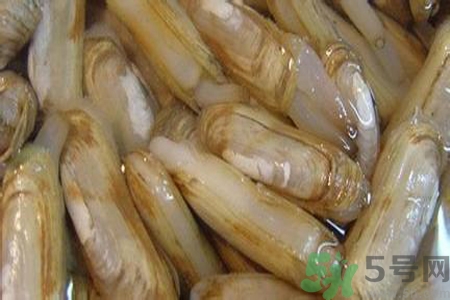 蟶子怎么洗？新鮮蟶子怎么挑選？