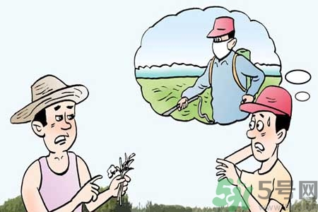 怎么洗掉水果上的農(nóng)藥？農(nóng)藥殘留的危害有哪些？