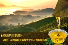 茶油是什么？茶油怎么吃？