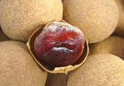 干桂圓吃多了會(huì)上火嗎？吃干桂圓上火怎么辦？