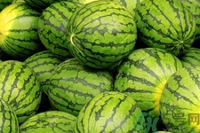 西瓜牛奶可以一起吃嗎？西瓜牛奶怎么做好吃？