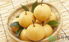 娃娃梨是怎么種出來的？娃娃梨為什么外形像娃娃？