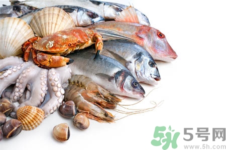 海鮮不能和什么一起吃？吃海鮮不能吃什么？