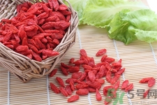 枸杞子泡酒怎么泡？枸杞酒的制作方法是什么？