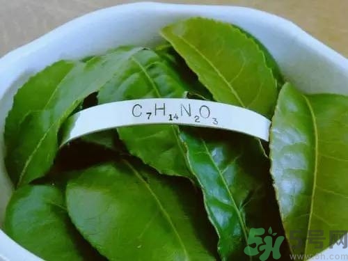 睡眠水為什么可以讓人入睡？可口可樂(lè)睡眠水有什么副作用？
