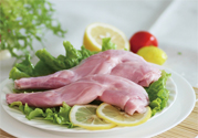 兔肉不能和什么一起吃？什么人不能吃兔肉？