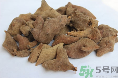 五倍子能治早泄嗎？五倍子的副作用有哪些？