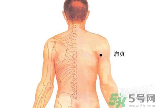 肩周炎艾灸有用嗎？肩周炎艾灸哪些部位？