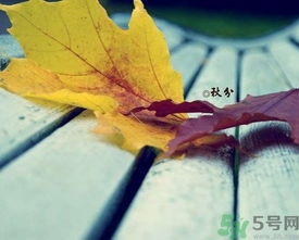 秋分出生的人怎么起名？秋分出生的人的命運(yùn)？