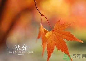 秋分吃什么？秋分吃什么水果？