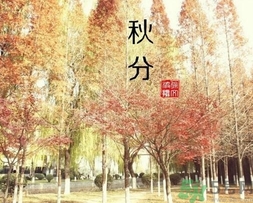 秋分吃什么？秋分吃什么水果？