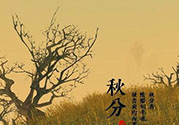 秋分吃什么？秋分吃什么水果？