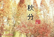 秋分出生的人怎么起名？秋分出生的人的命運？