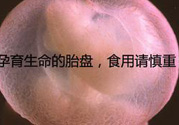 寶寶胎盤(pán)怎么處理比較好？?寶寶胎盤(pán)的功效與作用