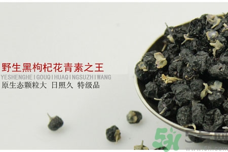 如何鑒別真假黑枸杞？黑枸杞價格多少？
