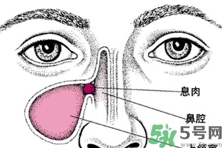 鼻子不通氣是怎么回事？鼻子不通氣怎么辦？