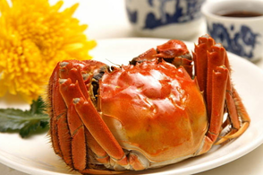 螃蟹什么季節(jié)最好吃？螃蟹幾月份吃最好？