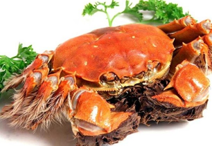 螃蟹什么季節(jié)最好吃？螃蟹幾月份吃最好？