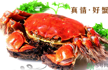 螃蟹什么時(shí)候吃最好？吃螃蟹的最佳時(shí)間 