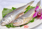 小黃魚的營(yíng)養(yǎng)價(jià)值 小黃魚的功效與作用