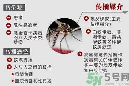 寨卡病毒是如何傳播的？寨卡病毒傳播途徑是什么？