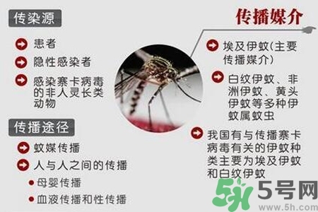 寨卡病毒會(huì)死人嗎？寨卡病毒會(huì)死嗎？