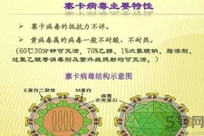 寨卡病毒對(duì)孕婦有危害嗎？寨卡病毒對(duì)孕婦的危害有哪些？