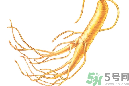 人參怎么吃效果最好？人參的做法大全