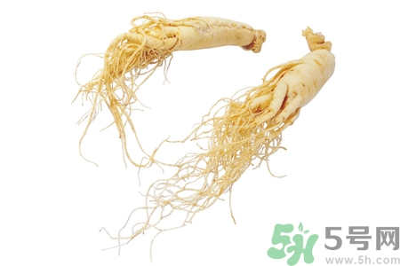 人參怎么吃效果最好？人參的做法大全