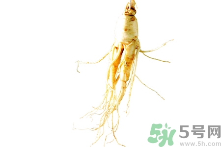 人參怎么吃效果最好？人參的做法大全