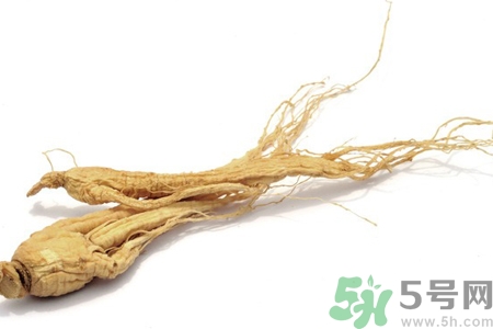人參怎么吃效果最好？人參的做法大全