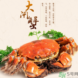 梁子湖大閘蟹什么時候上市？梁子湖大閘蟹上市時間