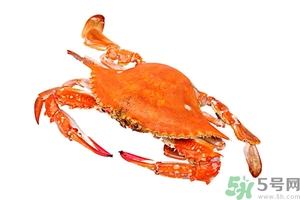 懷孕期間能吃螃蟹嗎？吃螃蟹會影響懷孕嗎？