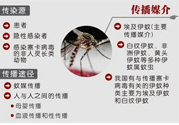 寨卡病毒對兒童的影響有哪些？寶寶如何避免及預(yù)防？