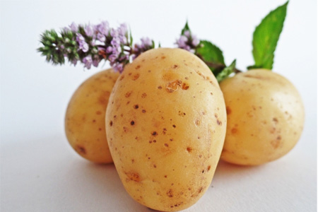 發(fā)芽的土豆怎么吃？土豆發(fā)芽了把芽削掉能吃嗎？