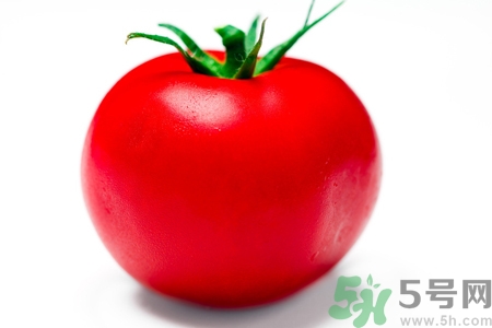 番茄和西紅柿有什么區(qū)別？番茄和西紅柿一樣嗎？
