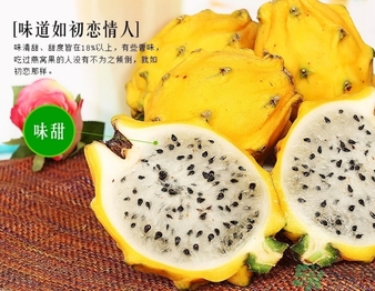 黃龍果多少錢一斤？黃龍果的功效作用