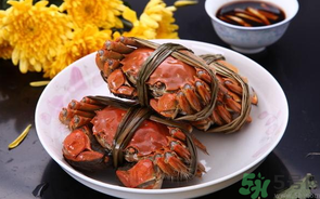 海蟹什么時(shí)候最肥？海蟹什么時(shí)候吃最好？