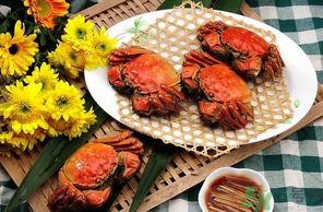 大閘蟹哪個(gè)品牌好？什么牌子的大閘蟹好吃？