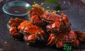 陽澄湖大閘蟹死了還能吃嗎？陽澄湖大閘蟹死了為什么不能吃？