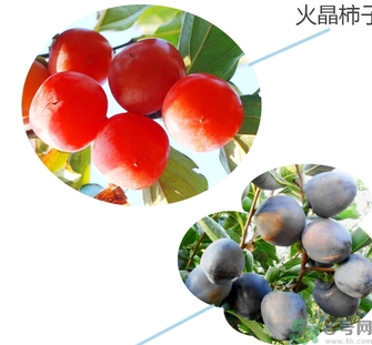 黑柿的營養(yǎng)價值及功效 黑柿怎么吃？