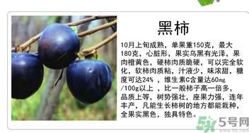 黑柿的營養(yǎng)價值及功效 黑柿怎么吃？