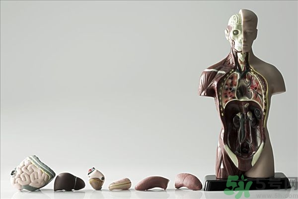 腸炎肚子疼怎么辦？腸炎肚子疼怎么緩解？